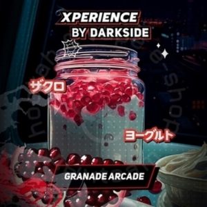Табак для кальяна DarkSide Xperience (Дарксайд Экспириенс) 30гр.