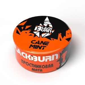 Табак для кальяна BlackBurn (Блэк Берн) - Cane Mint (Тросниковая мята) 25гр.