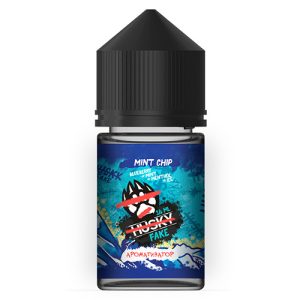 Ароматизатор HUSKY Fake - Mint Chip (черника мята ментол и лед) 14мл
