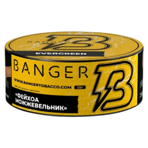 Табак для кальяна Banger (Бэнгер) - Evergreen (Фейхоа, Можжевельник) 25гр.