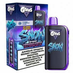GANG SNOW 21000 - Холодный Компот из Сухофруктов