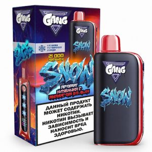 GANG SNOW 21000 - Клубника с Ананасом во Льду