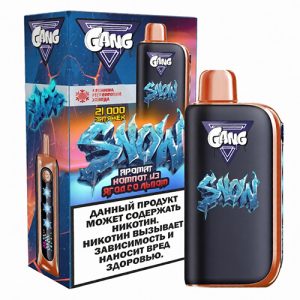 GANG SNOW 21000 - Компот из Ягод со Льдом