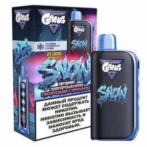 GANG SNOW 21000 - Замороженная Смородина с Малиной